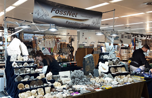 FossNet - Fossilienstore