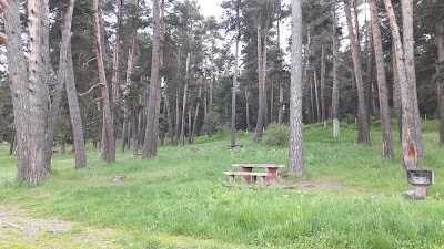Photos of Sarıkamış Soğuksu Mesire Alanı