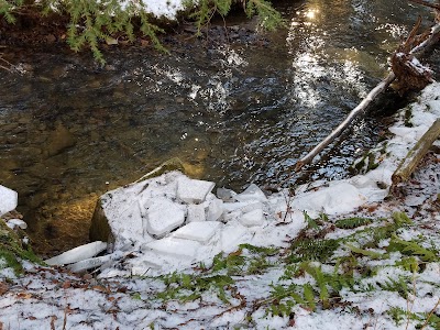 Photos of State Game Lands Number 25