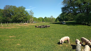 Photo n°17 de EARL de la ferme à Saint-Juan (Éleveur)