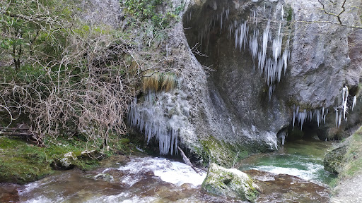 Poza Río Purón - Thumbnail