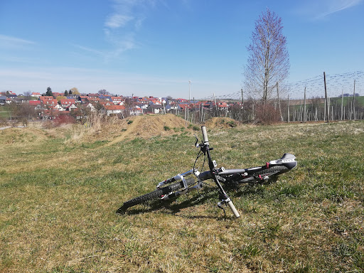 Bike Park Sünzhausen
