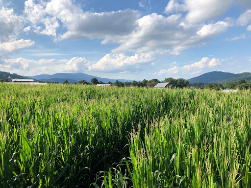 Blue Ridge Mountain Maze - Thumbnail