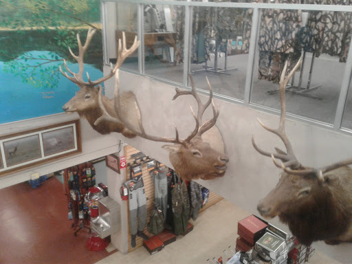 Mountain Road Park LLC & RV Park - Thumbnail