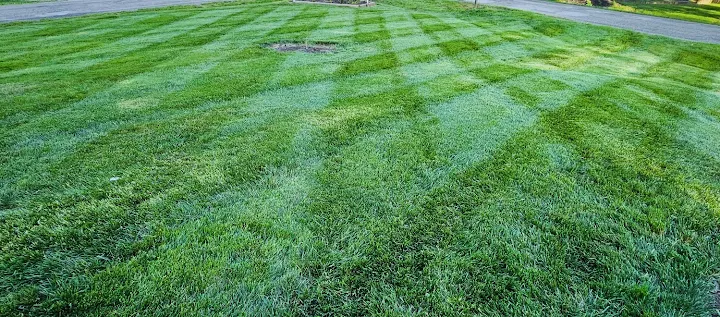 Reveal Lawn Care & Tree Service LLC