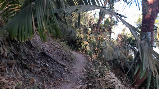 Mirador Ríos Torres - Thumbnail