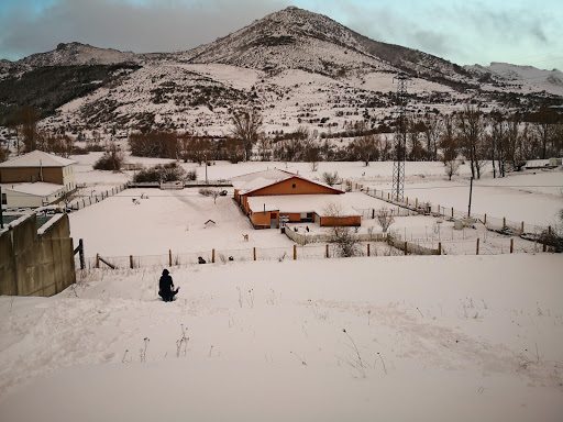 Ventosilla - Visual