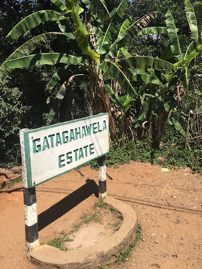 Photos of Gatagahawela Plantation Pvt Ltd