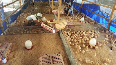 Photos of PT. Matahari Indonesia Timur