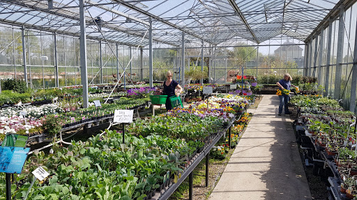 Wingham Country Market - Thumbnail