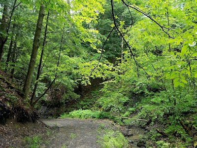 Deer Lick Conservation Area