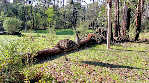 Smiths' Mill Campground Gallery - Australia