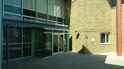 Photos of Big Green Screen Theatre