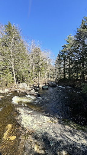 Ricker Pond's Lookout - Thumbnail
