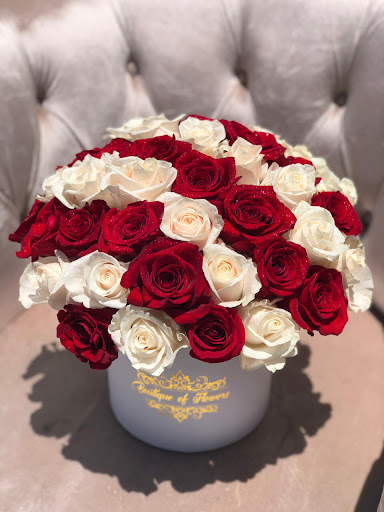 Boutique - Visual