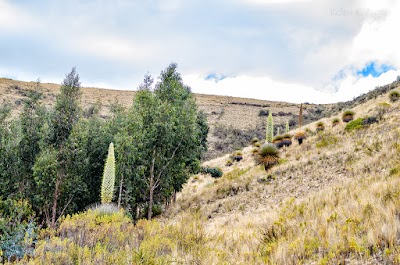 park