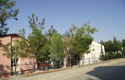 school