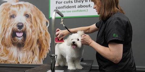 Pet Supplies Plus St. Clair Shores - Harper