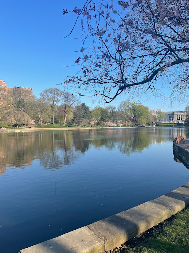 Wade Lagoon - Visual
