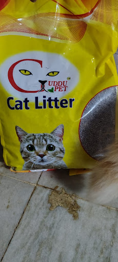 Cats Litter post image