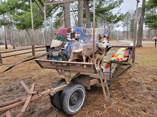 Country Doc Veterinary Clinic - Thumbnail