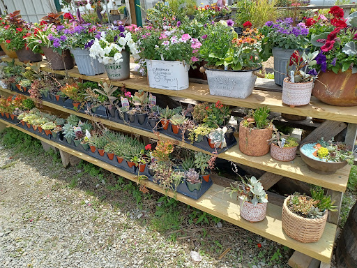 Leupold Greenhouse & Orchard - Thumbnail