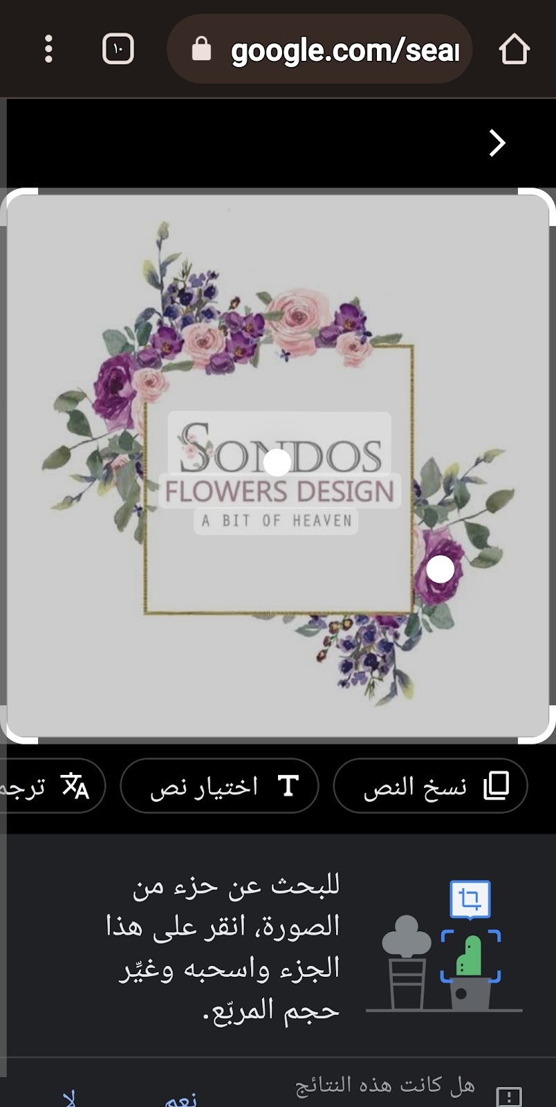 Sondos flowers elkan - صورة 2