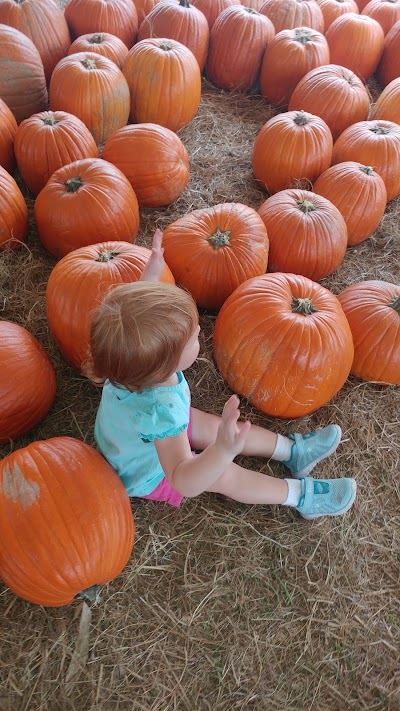 Photos of Hunsader Farms
