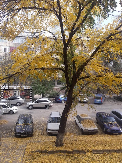 Photos of U Doma