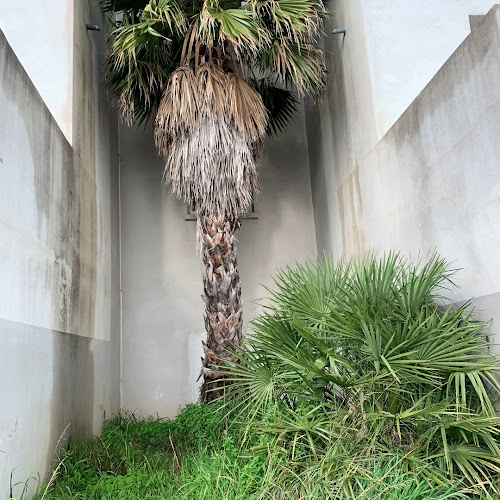 Avis sur SASU RHP2B à Bastia - Paysagiste