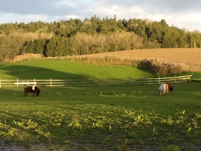 Photos of Ponyferienhof