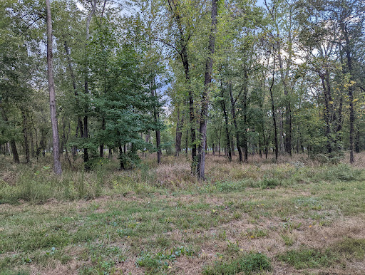 Old Greenville Recreation Area - Thumbnail