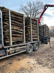 Photo n°4 de Bourgaud Michel à Le Puy-Sainte-Réparade (Paysagiste)