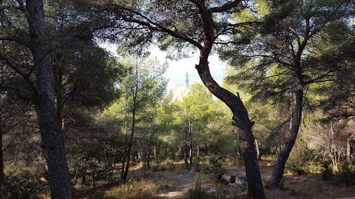 Parco comunale del Ciapà - Thumbnail