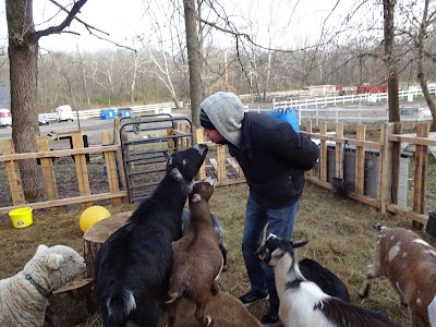 Photos of Natural Valley Ranch