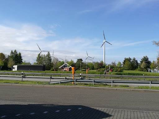 Dorngrund Rastplatz - Thumbnail