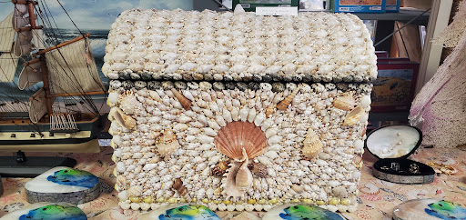 Discovery Seashell Museum - Visual