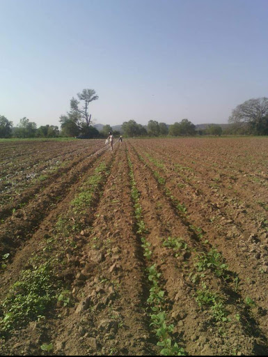 Rancho Prieto Azabache