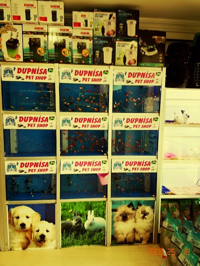 DUPNİSA PET SHOP