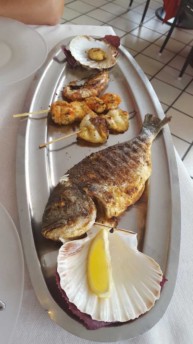 Terrae Maris
