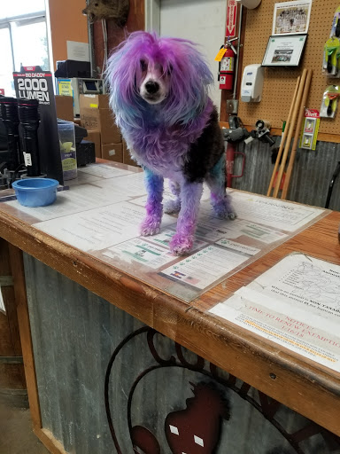 Valley Springs Feed & Pet Supply - Thumbnail