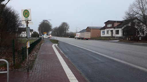 B199 - Handewitt - Thumbnail