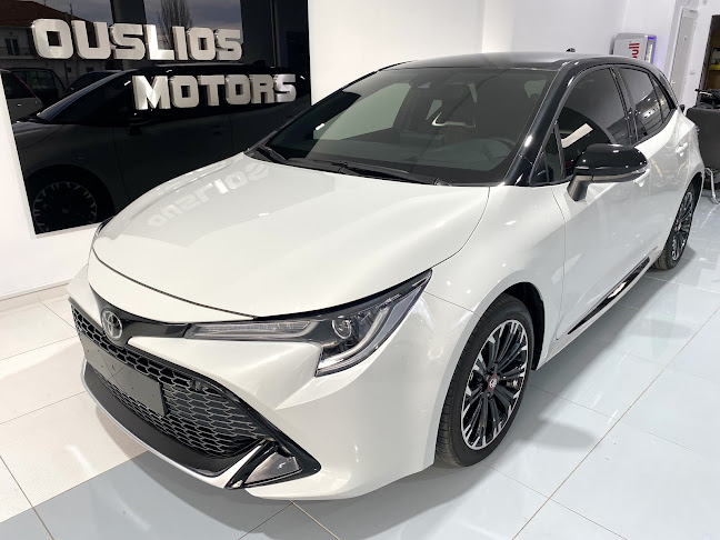 OUSLIOS MOTORS CAR SALES & RENT A CAR - Καστοριά