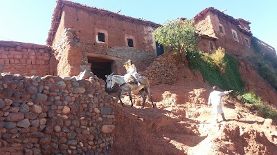 Photos of Marrakech excursion quad et buggy Dromadaires et transport touristique