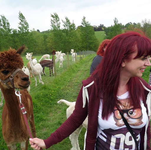 Lucky Tails Alpaca Farm