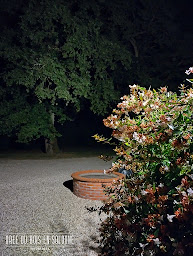 Photo n°14 de Orée du Bois en Sologne, chambres entre Romorantin - Chambord - Zoo de Beauval à Lassay-sur-Croisne (Chambre d'hôtes)