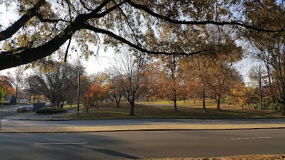 Borge Street Park