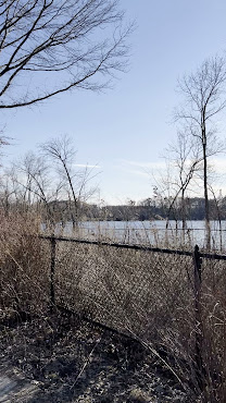 Fresh Pond by null