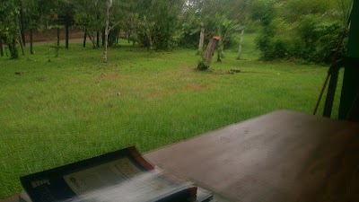 Photos of Reserva Forestal Ca&ntilde;o Negro