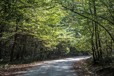 İğneada Floodplain Forests National Park